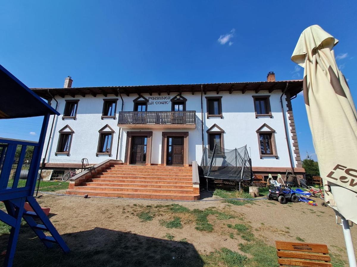Pensiunea La Conac Birlad Exterior foto